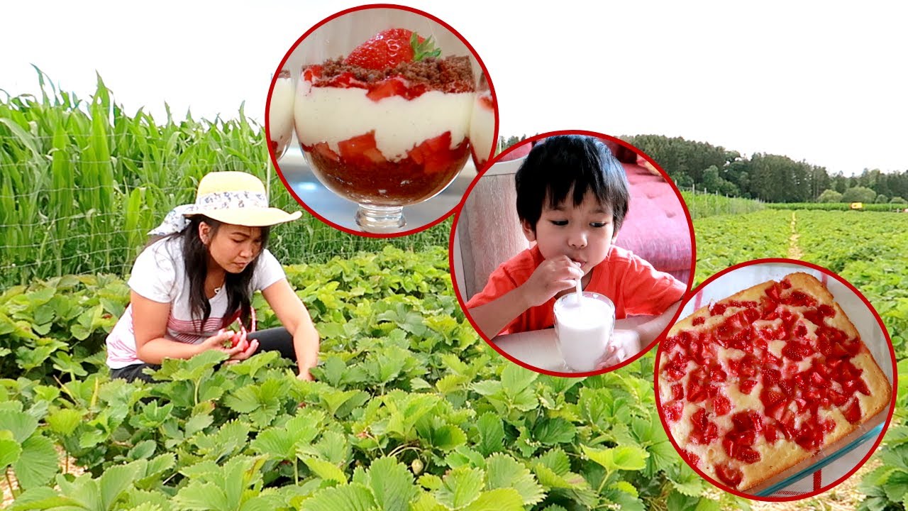 3 EASY STRAWBERRY DESSERT RECIPES | QUICK DESSERT | STRAWBERRY