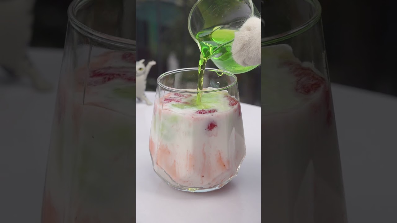 Make simple strawberry smoothie at home! |( ASMR) | Chef Cat Cooking |#tiktok#shorts #cat#pet#jelly