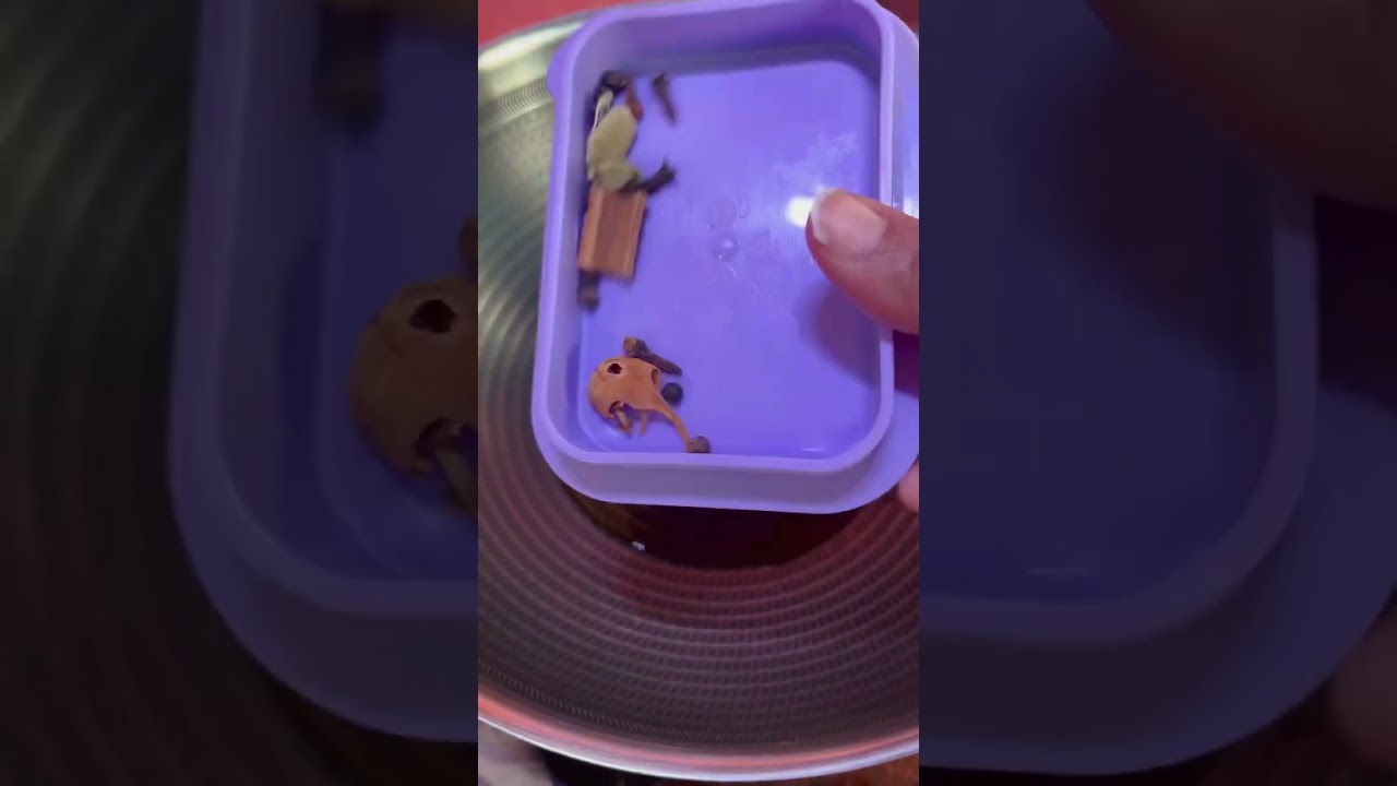 winter special diet chicken recipes | Diet Palak chicken #theindianfamily001 #shorts #indianfood