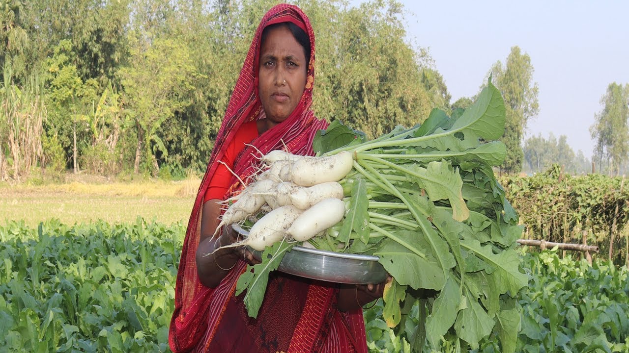 Farm Fresh Radish Recipe Delicious Radish Chicken Curry MULA CHICKEN RECIPE | Village Food