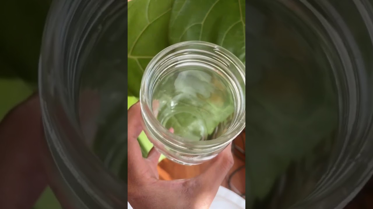 BEST heathy aging smoothie. #wellness #smoothierecipe #greenpeasrecipes