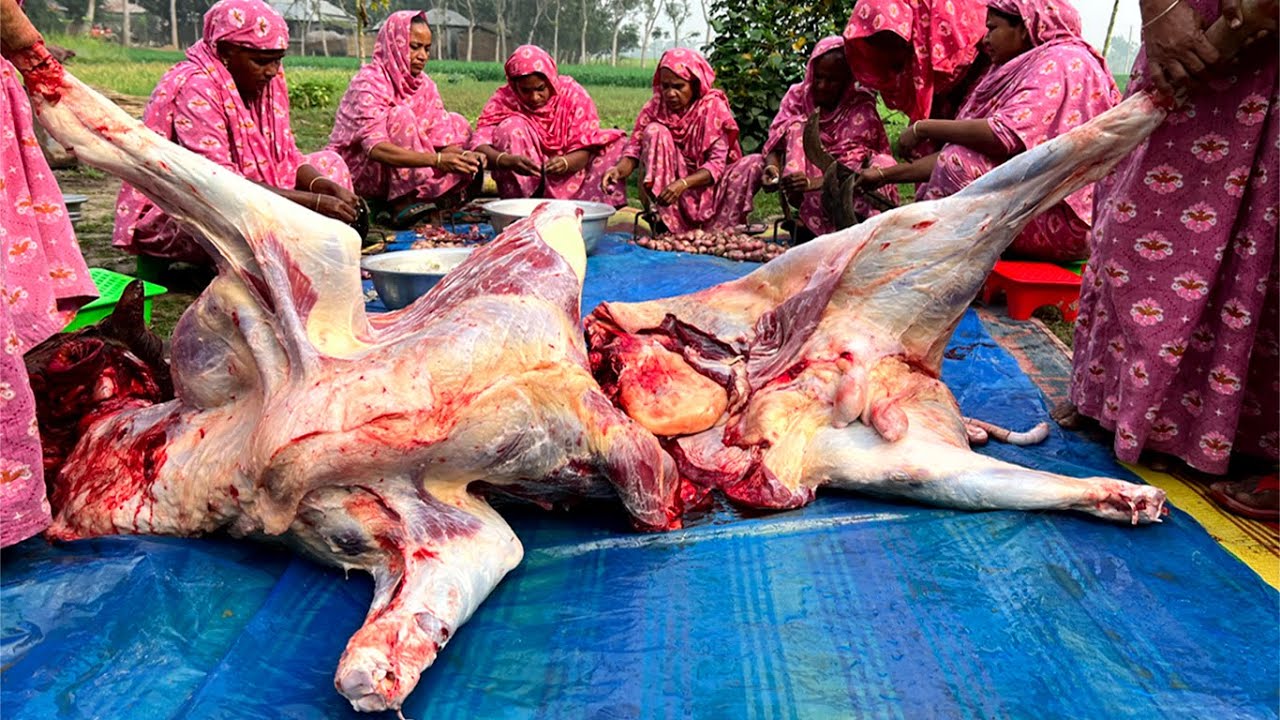 120 KG Beef Meat Pulao Biryani Recipe – Whole Cow Beef Tehari – Food for 600+ Village People