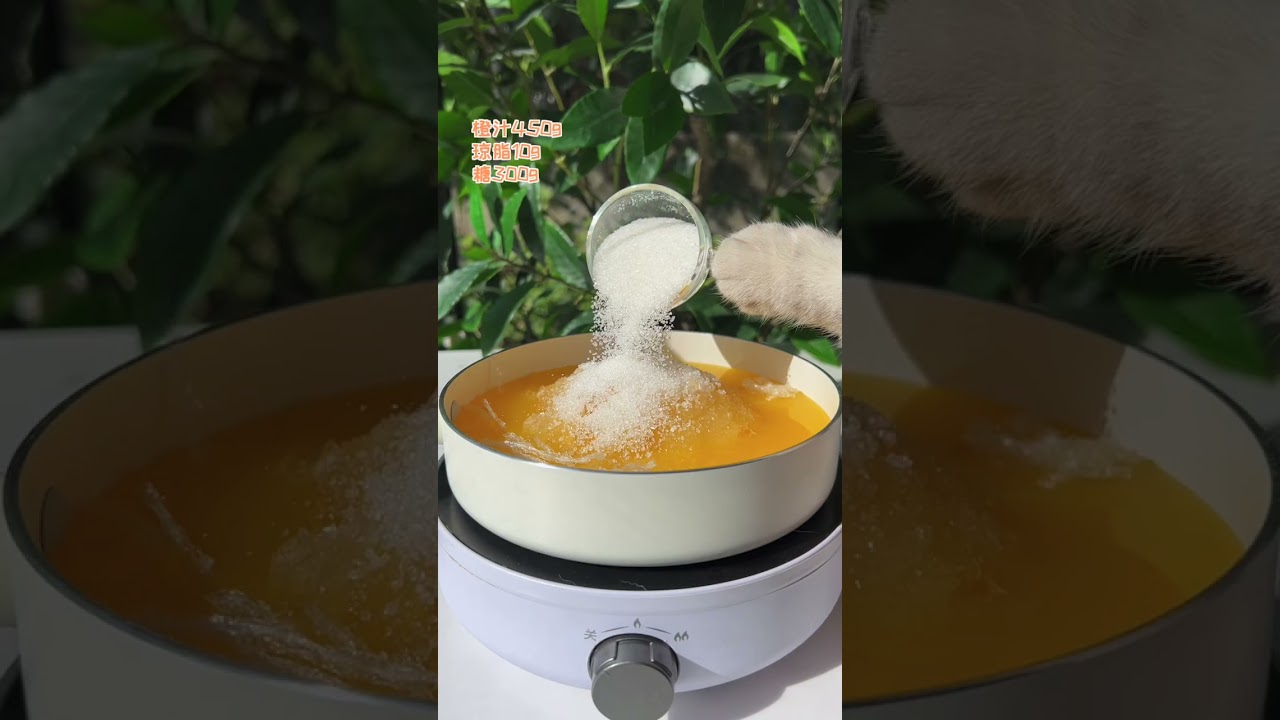 Best Orange Jelly Dessert | No Bake Orange Jelly Dessert Recipe |#Shorts Cat Cooking |#ytshorts