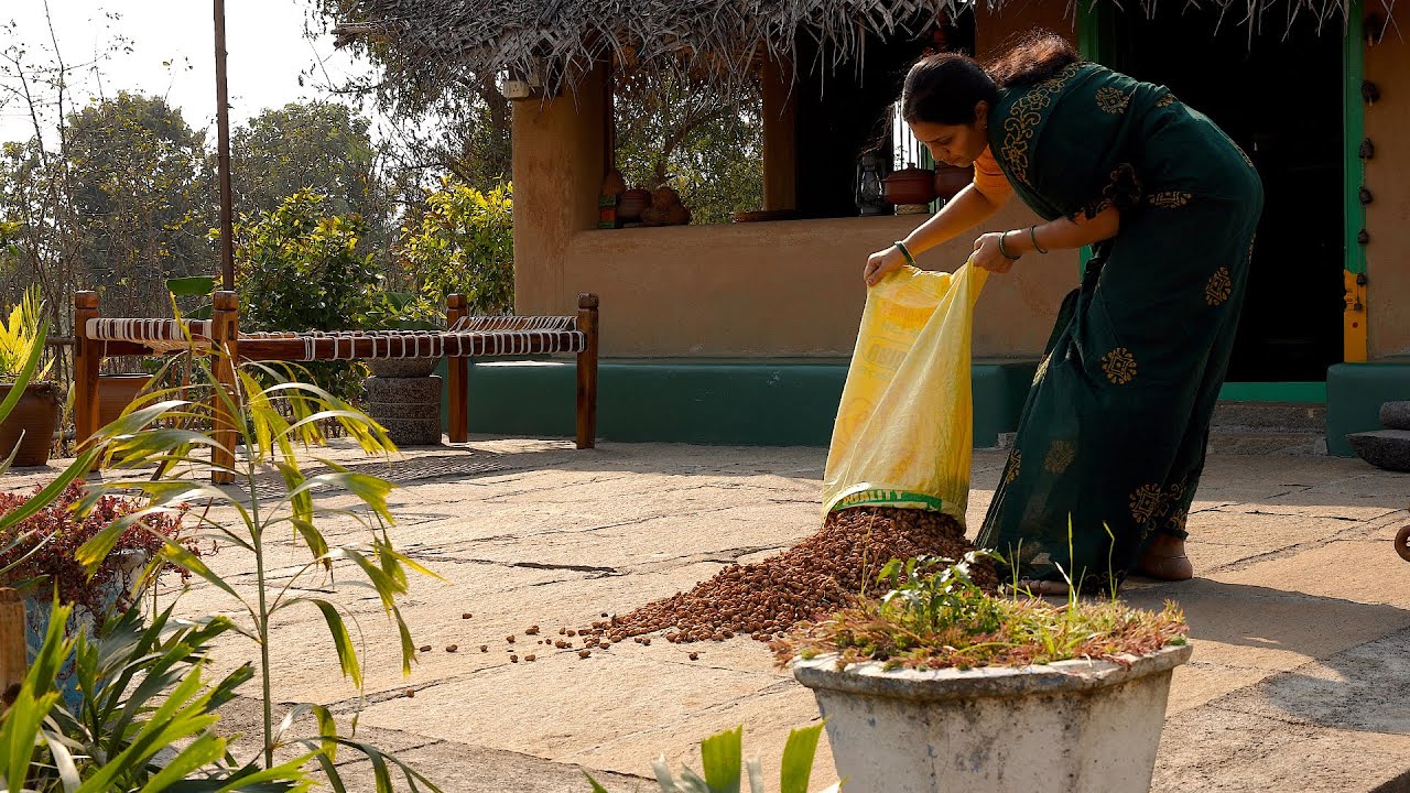 Got Fresh Groundnuts From Farm? So Cooking 2 Snack Recipes In Village House || The Traditional Life