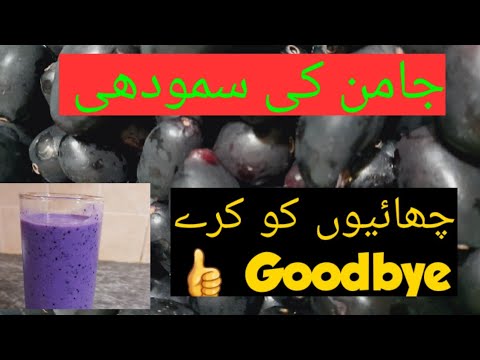 Jamun Smoothie Recipe |Immunity Boosting Drinks | Black Plum Smoothie | @daywithkomal
