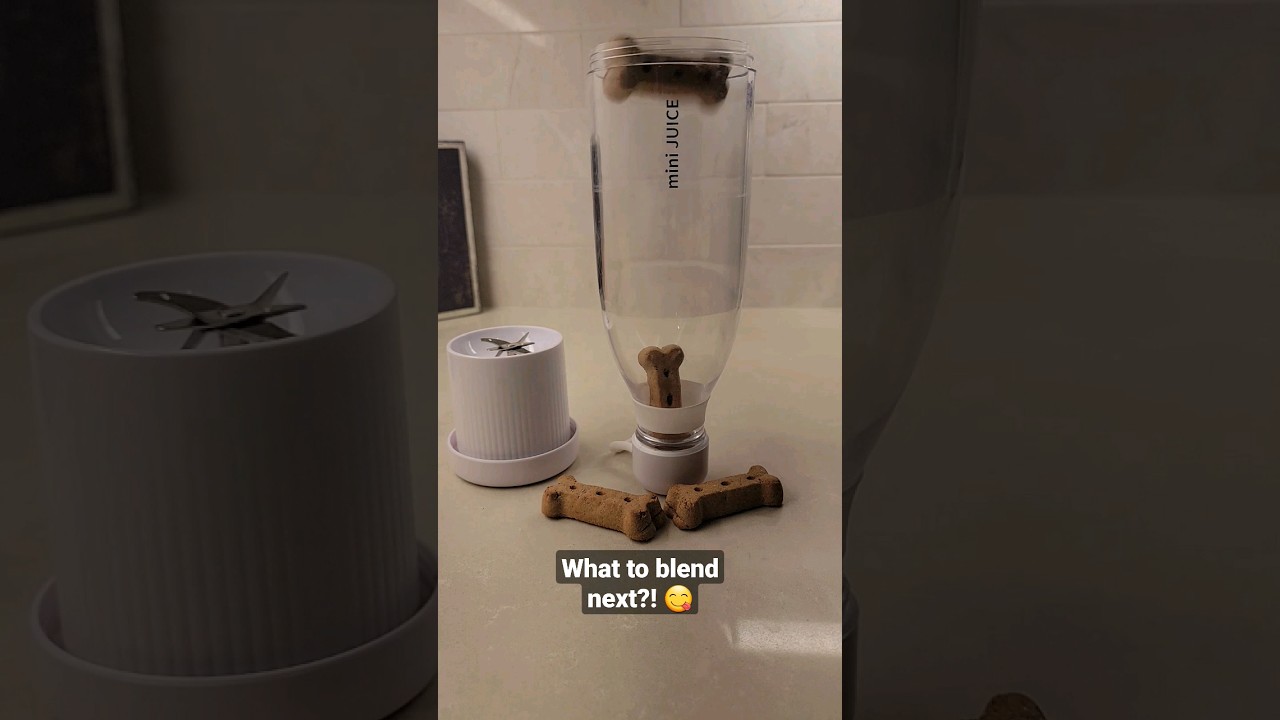 Puppy Pals Dog Treat Smoothie Recipe Magic in these Bones Spoil Your Furry Friend Pets Love #shorts