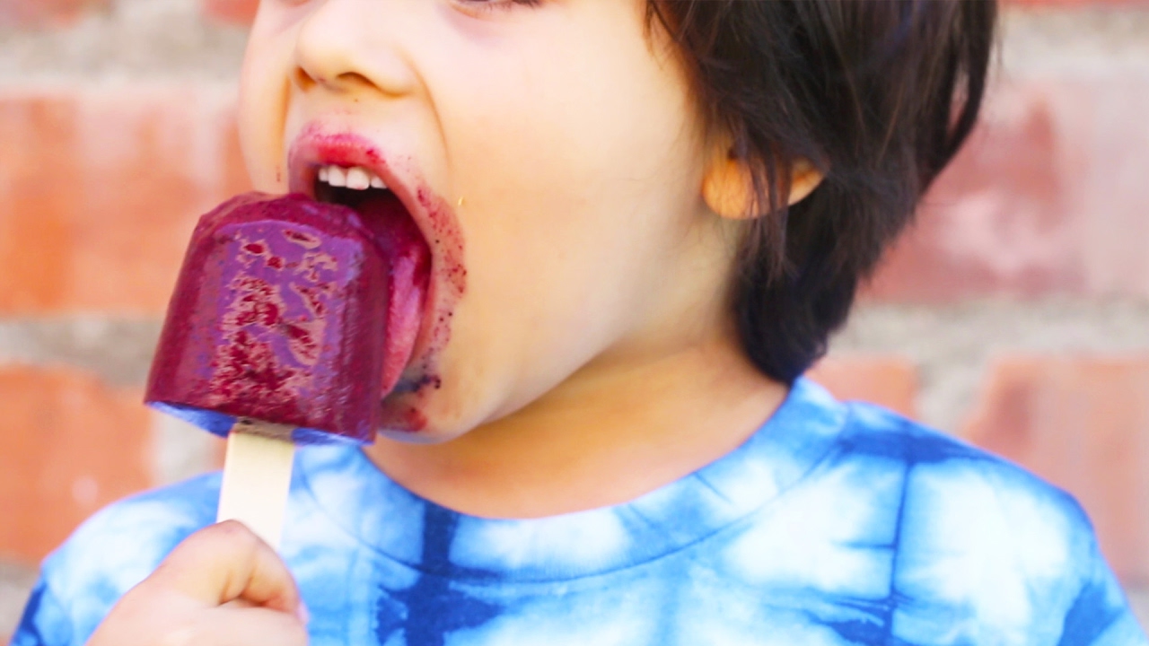 Frozen Smoothie Pops