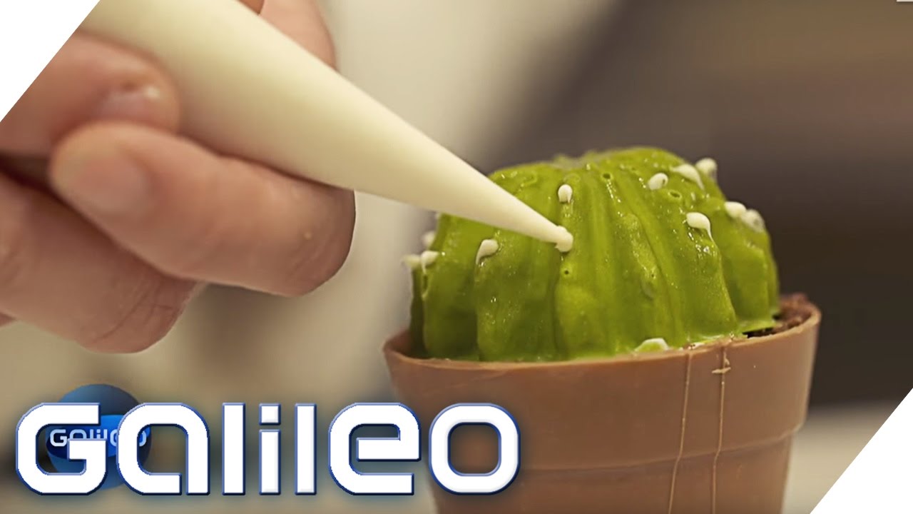 Dessert-Illusionen – Der essbare Kaktus | Galileo | ProSieben