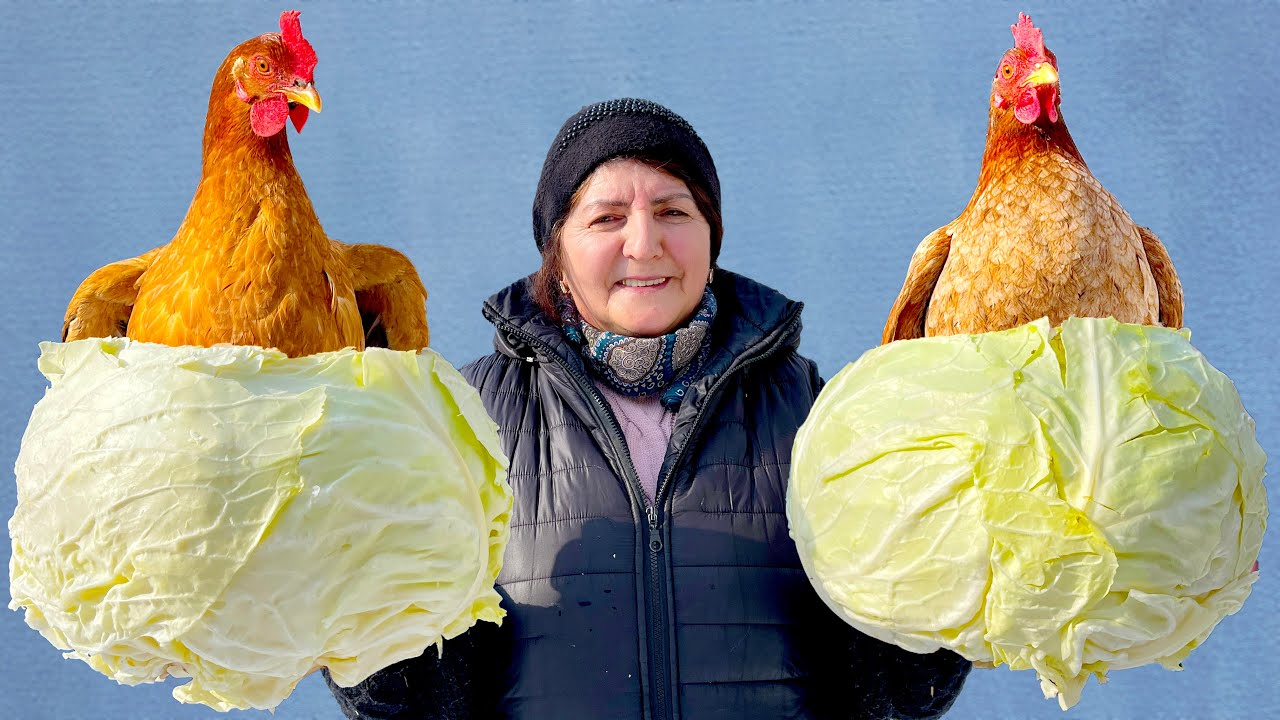 Grandma’s 3 Unusual Chicken Recipes! Rare Dishes You’ll Say “Wow”. The Secret of Taste.