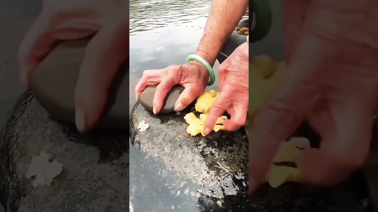 pahadi bhog #legpiece #food #foodie #chickenbiryani #chickenlegpiece #chicken #chickenrecipes