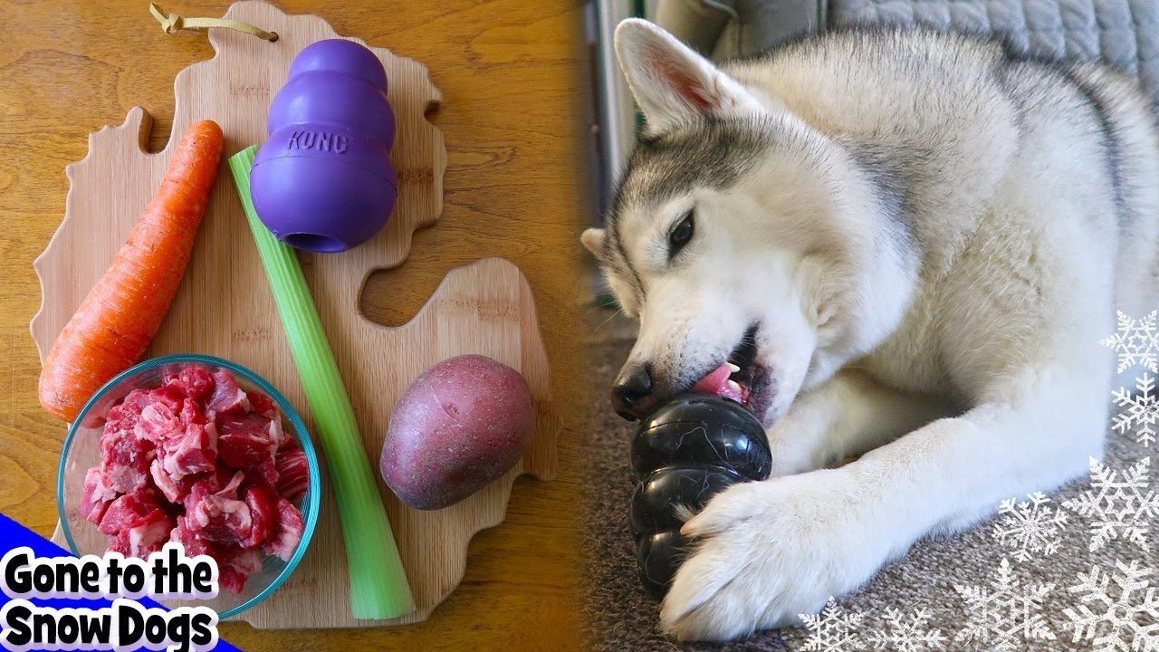 DIY Beef Stew Kong for Dogs | DIY Dog Treats Recipe 94 | Frozen Dog Treats