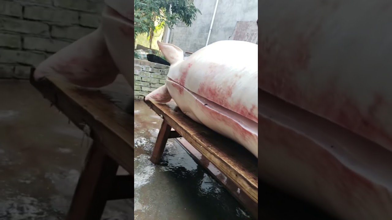 Amazing cutting the whole pork meat #cactusfoodies #shorts #pork #porkrecipes #porkmeat #porkdishes