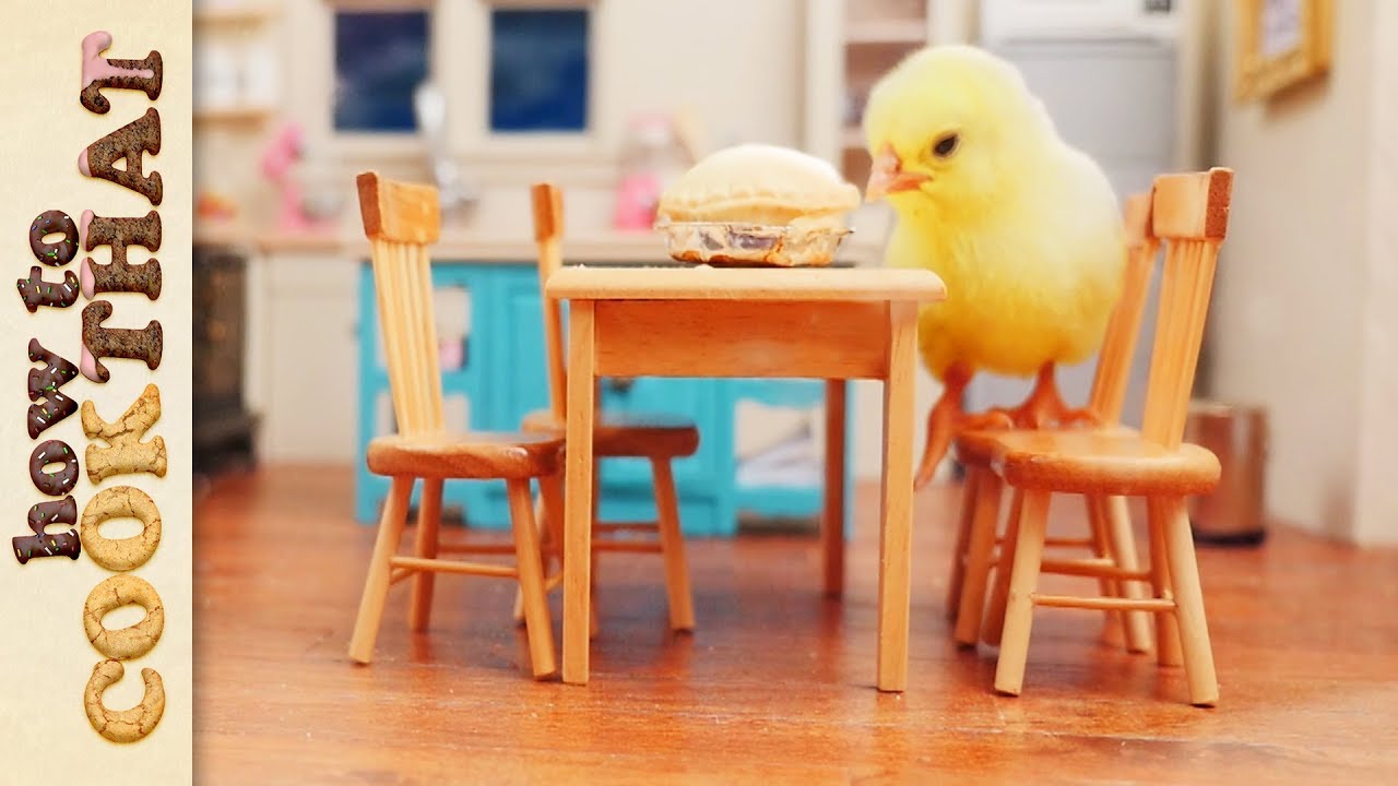 Guess who’s coming for dessert?  Ann Reardon How To Cook That