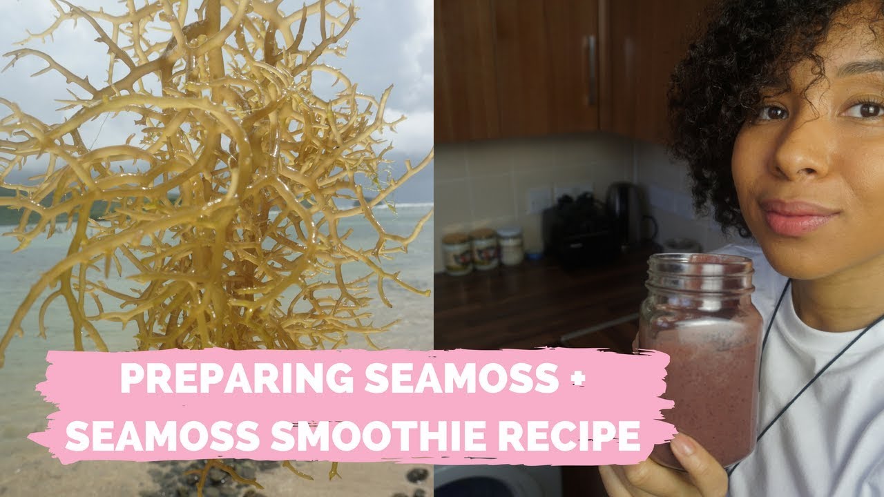 HOW I PREPARE SEAMOSS + SMOOTHIE RECIPE // Visiting A Seamoss Farm