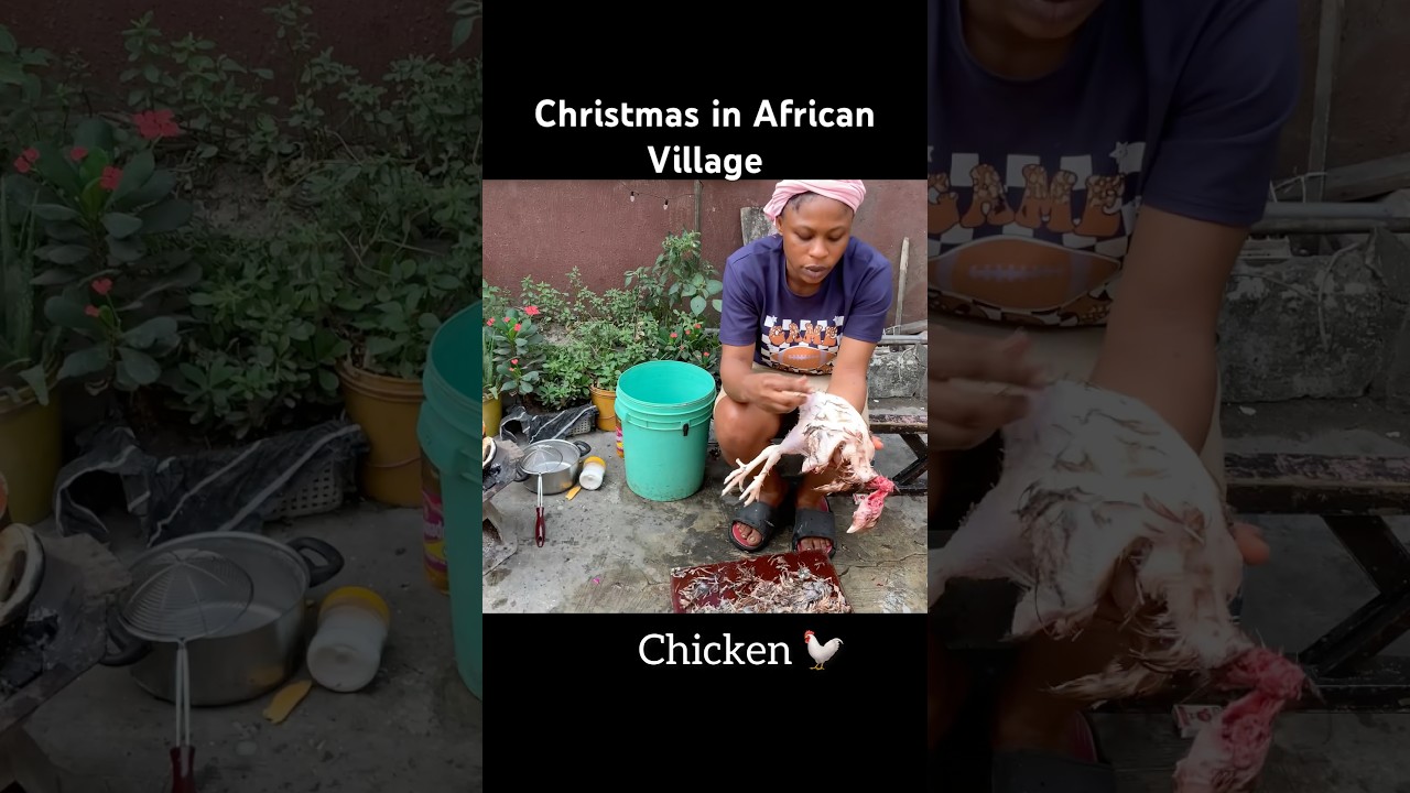 Nigerian Most Popular Chicken Tomato *stew* #africa #cooking #villagelife
