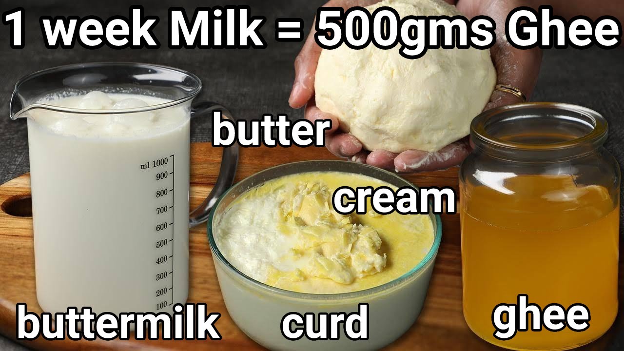 1.5 liter of milk = 500 gm of ghee recipe | homemade butter, ghee – full cream milk | ghee from curd
