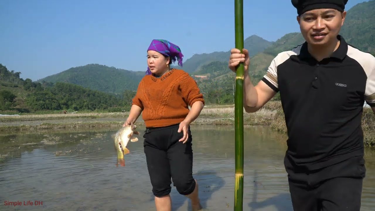 Meet big schools of fish, grill fish on the riverbank to eat, collect leaves to feed pigs.