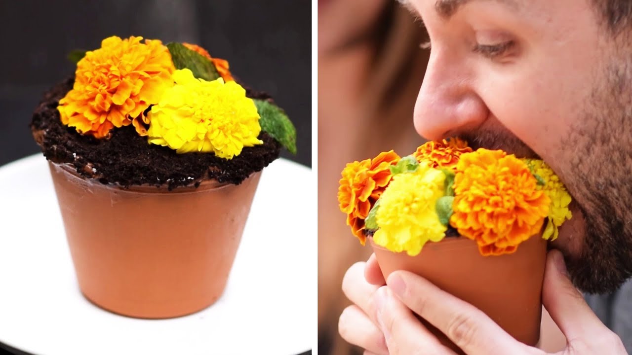 Trick Recipes | Flower Pot Cake Recipe | Cake Hacks | Easy DIY Dessert Recipes Ideas by So Yummy