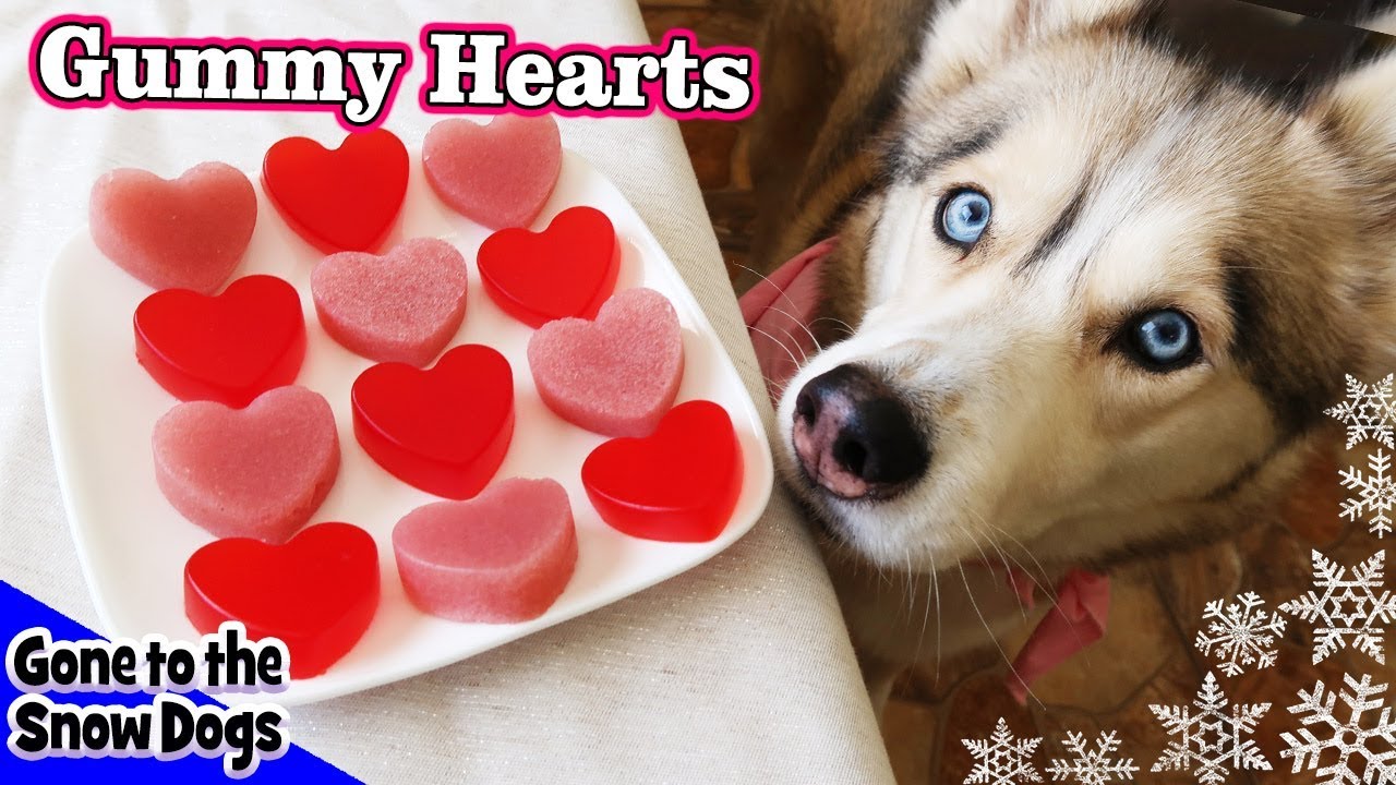 Valentine’s Day Strawberry Gummy Dog Treats | DIY Dog Treats Recipe 93 | Homemade Dog Treats